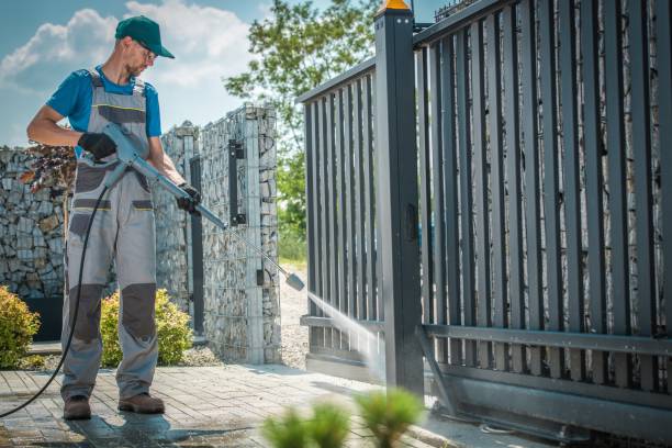 Best Gutter Cleaning  in Cole Camp, MO